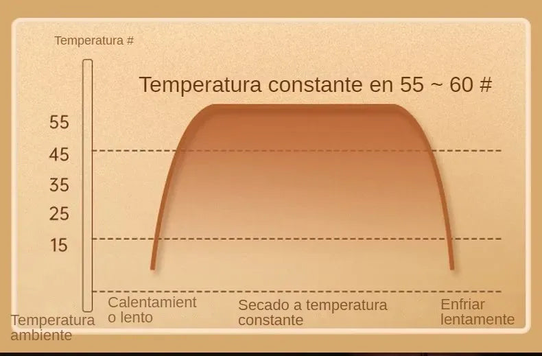 Secador de Zapatos Electrico Portatil